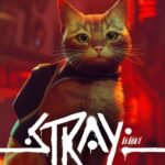 Stray